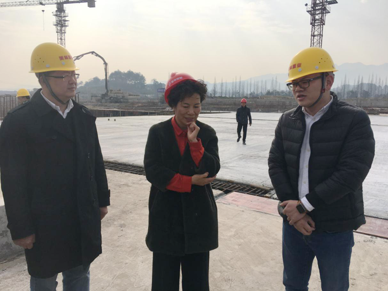 麗水市委常委、宣傳部長任淑女調(diào)研松陽美林·南城壹號(hào)項(xiàng)目