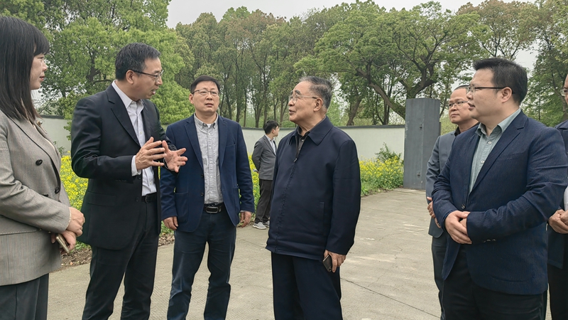 國醫(yī)大師張伯禮院士到訪浙農杭白菊GAP生產示范基地
